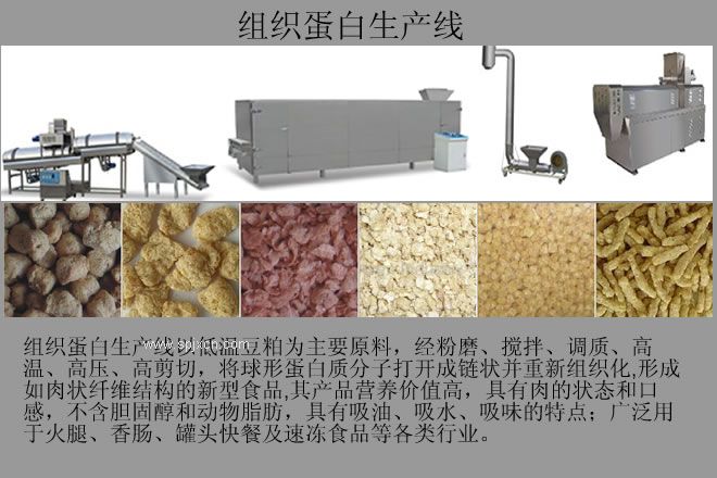 大豆蛋白素肉機(jī)械設(shè)備