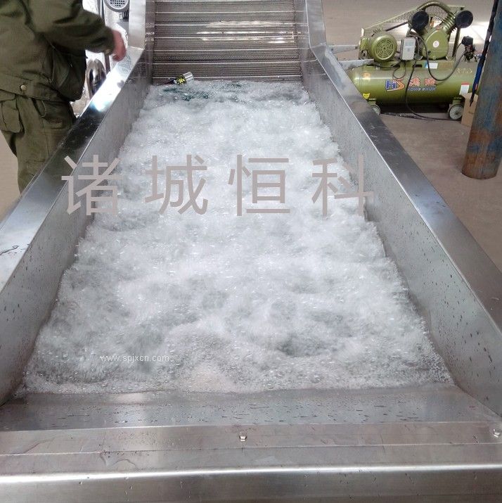 恒科供應(yīng)蔬菜清洗機(jī)/水果清洗機(jī)